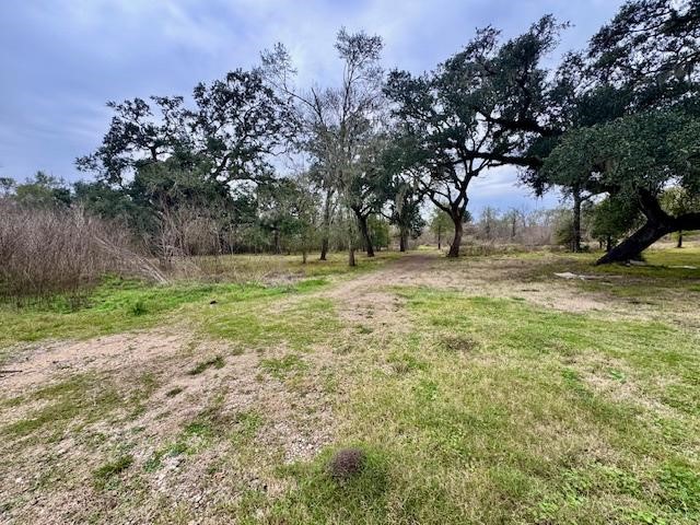 3747 County Road 611 Angleton, TX 77515 - Photo 13 of 21