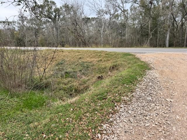 3747 County Road 611 Angleton, TX 77515 - Photo 17 of 21