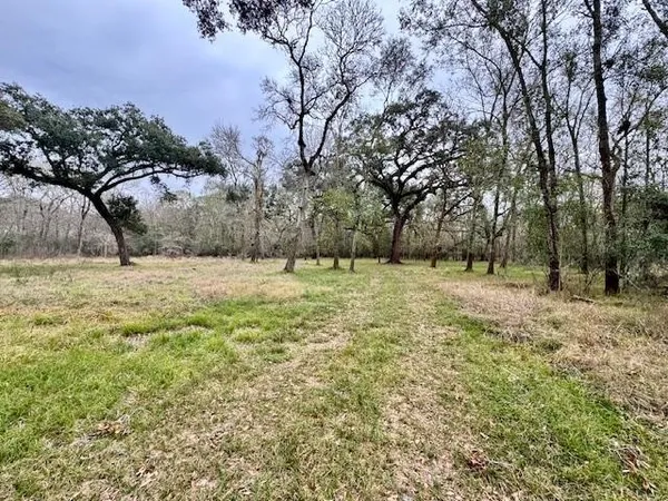 a view of a field with trees in the background
