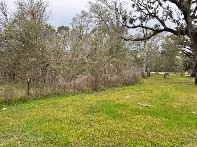 3747 County Road 611 Angleton, TX 77515 - Photo 4 of 21