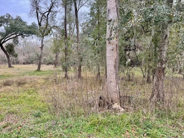 3747 County Road 611 Angleton, TX 77515 - Photo 7 of 21