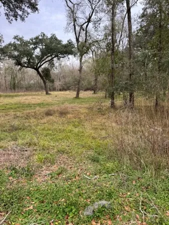 a view of yard covered with green space