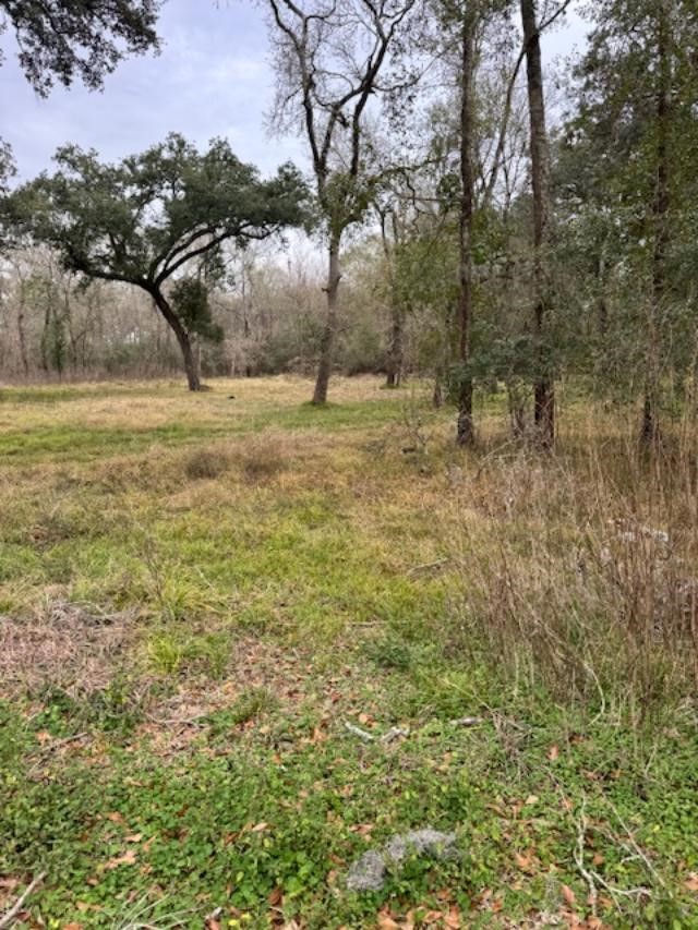 3747 County Road 611 Angleton, TX 77515 - Photo 8 of 21