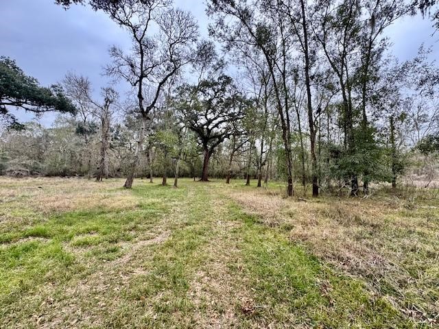 3747 County Road 611 Angleton, TX 77515 - Photo 9 of 21