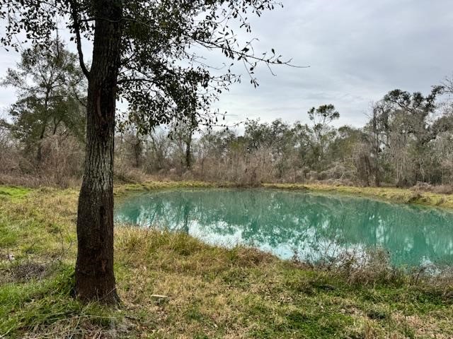 3747 County Road 611 Angleton, TX 77515 - Photo 10 of 21