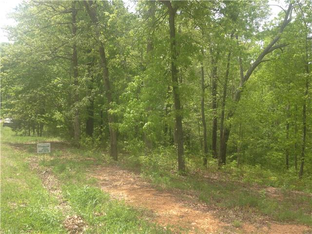 8 Ridgeview Drive Pegram, TN 37143 - Photo 1 of 2 Gallery Image 1