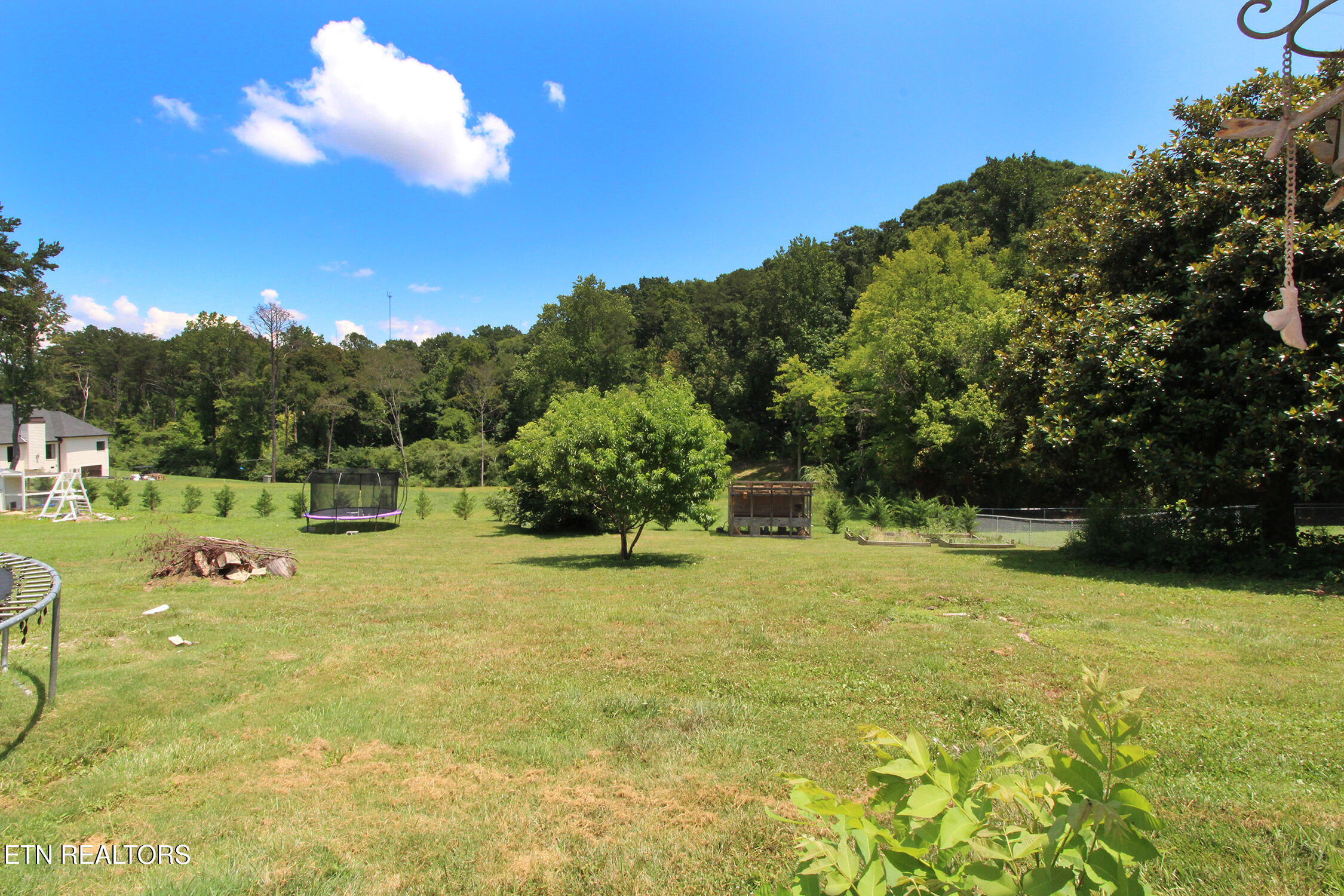 3718 Cherrylog Road Knoxville, TN 37921 - Photo 29 of 31 Backyard