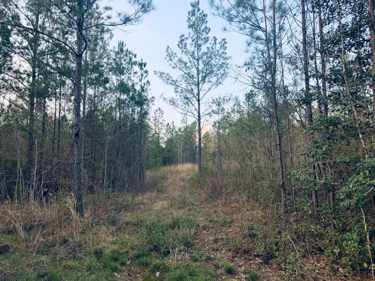 23180 Lonnie Hadley Road Perdido, AL 36562 - Photo 10 of 11