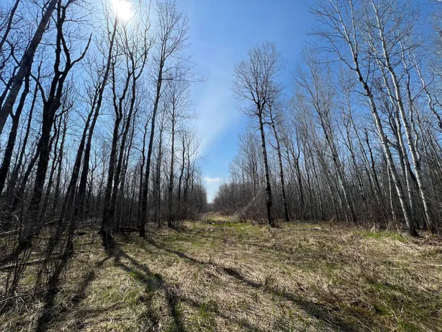 $549,900 | Tbd Gulley Road, Maple, WI 54854