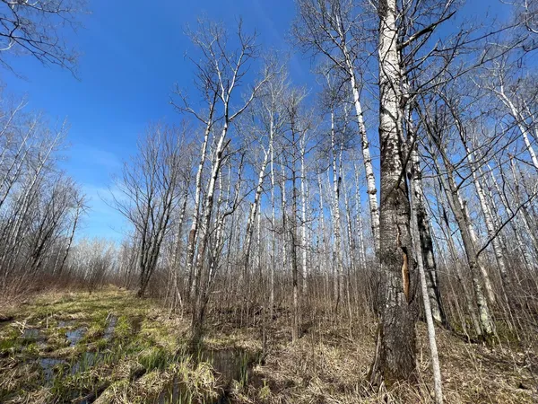 $549,900 | Tbd Gulley Road, Maple, WI 54854
