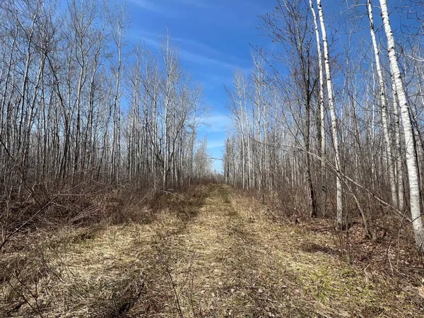 $549,900 | Tbd Gulley Road, Maple, WI 54854