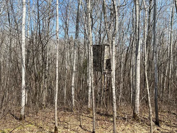 $549,900 | Tbd Gulley Road, Maple, WI 54854