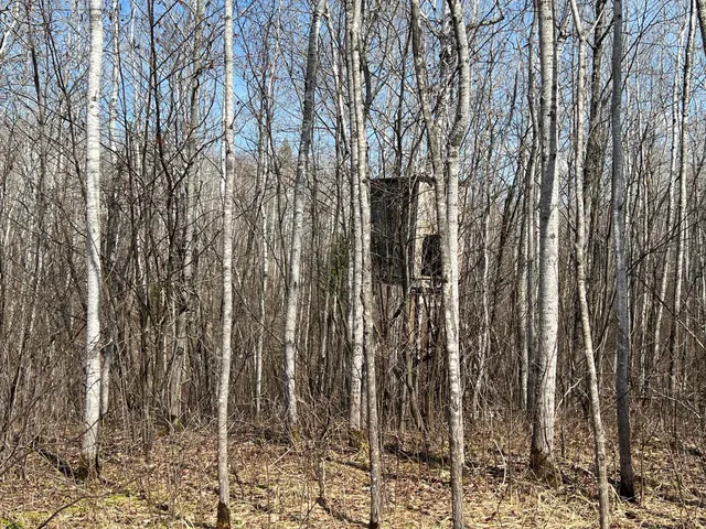 $549,900 | Tbd Gulley Road, Maple, WI 54854