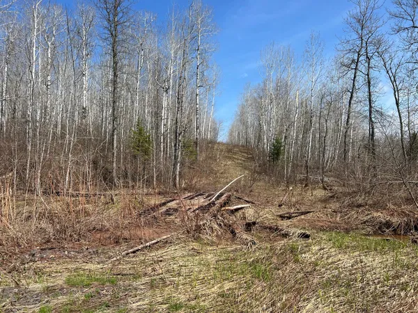 $549,900 | Tbd Gulley Road, Maple, WI 54854