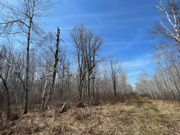 $549,900 | Tbd Gulley Road, Maple, WI 54854