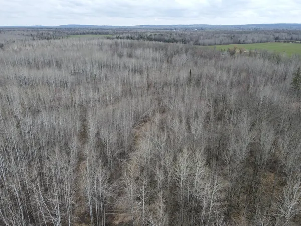 $549,900 | Tbd Gulley Road, Maple, WI 54854