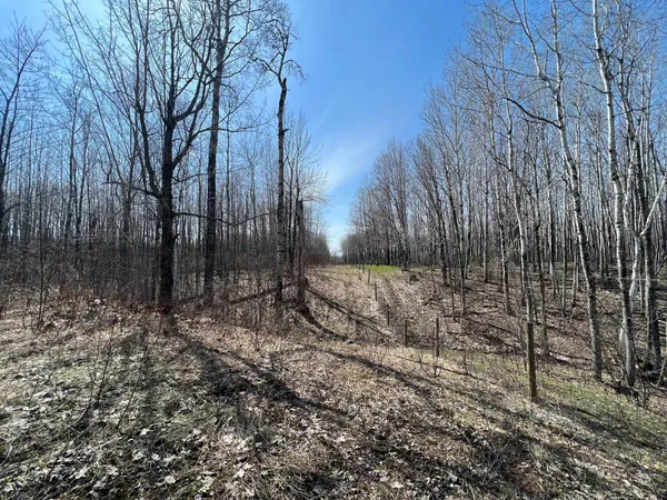 $549,900 | Tbd Gulley Road, Maple, WI 54854