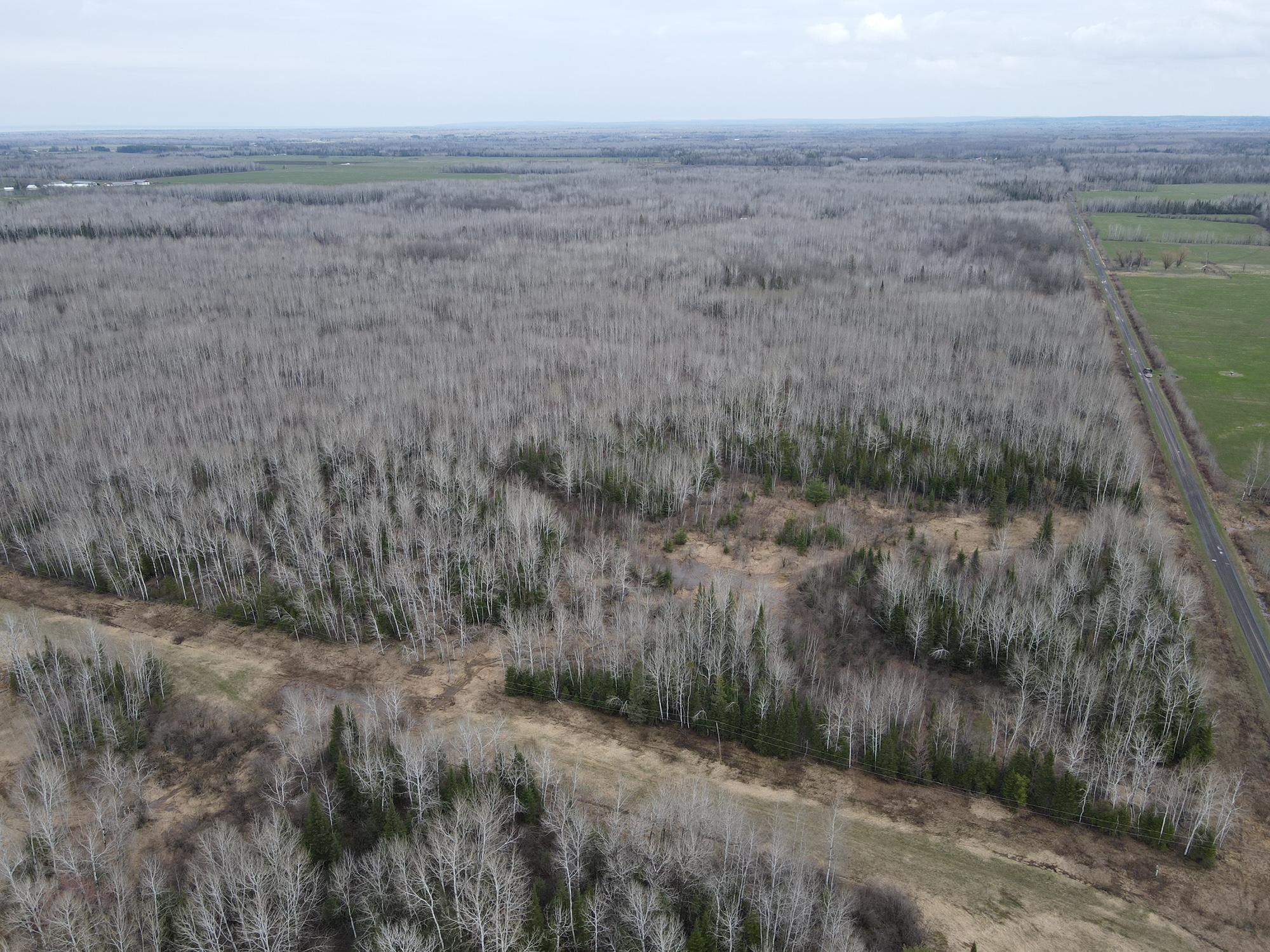 Tbd Gulley Road Maple, WI 54854 - Photo 8 of 27