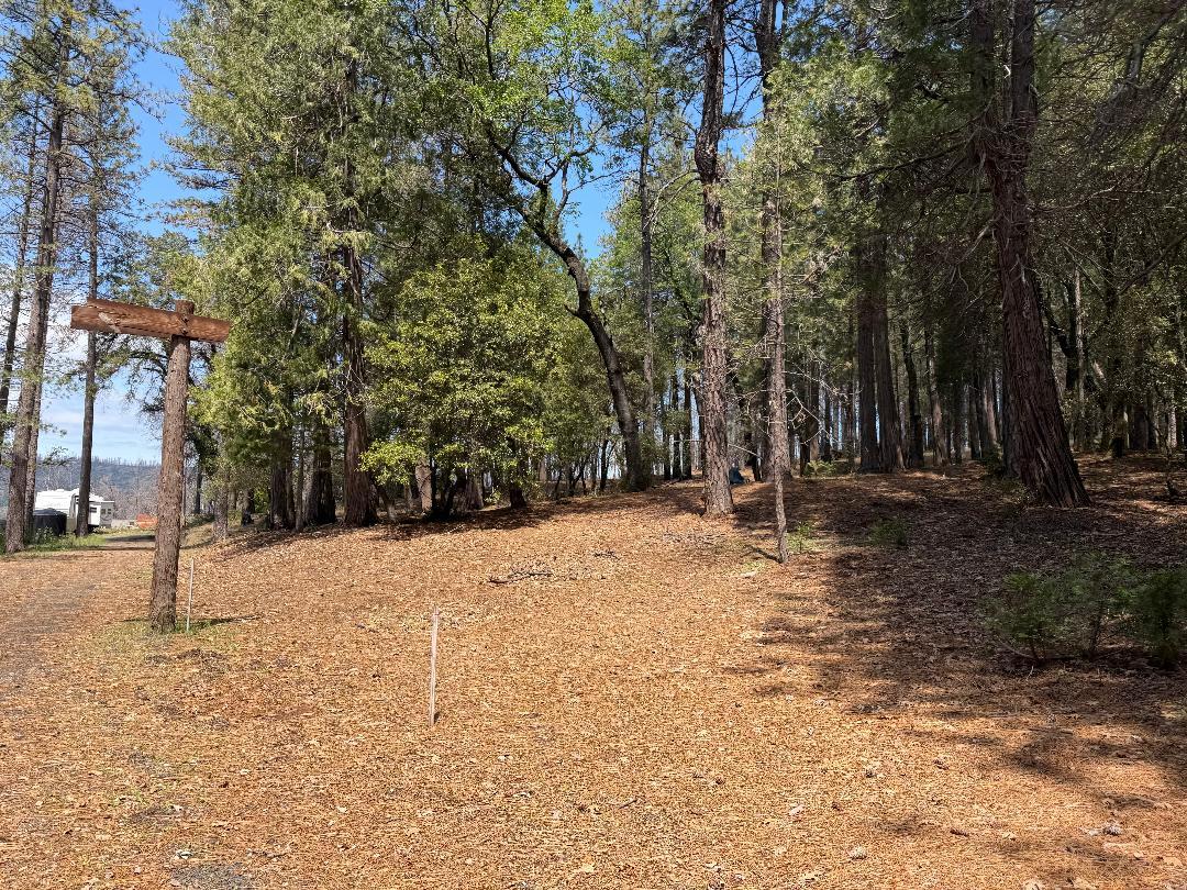 4631 Dear Abby Road Forest Ranch, CA 95942 - Photo 1 of 32