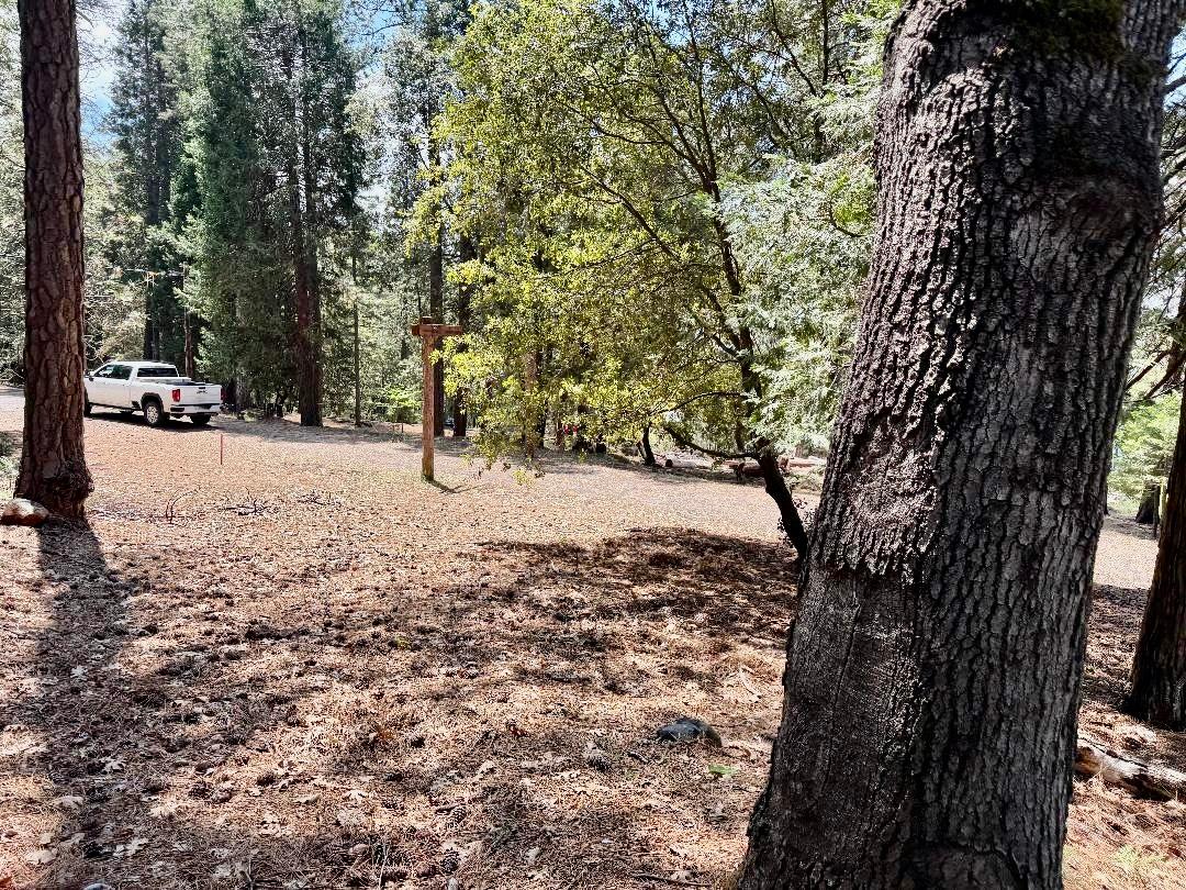 4631 Dear Abby Road Forest Ranch, CA 95942 - Photo 20 of 32