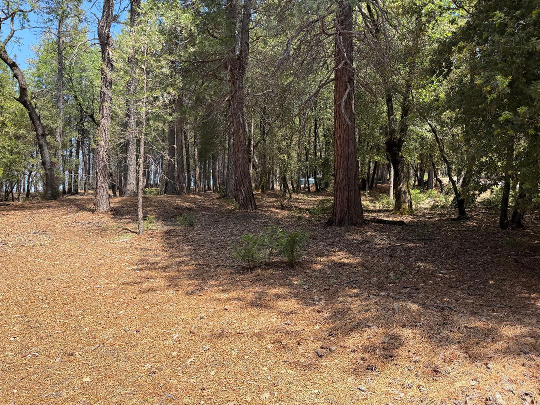 4631 Dear Abby Road Forest Ranch, CA 95942 - Photo 24 of 32