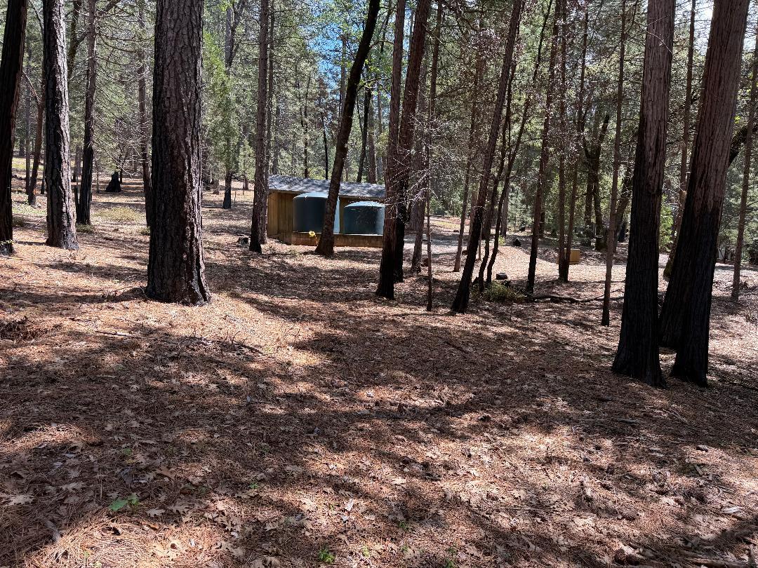 4631 Dear Abby Road Forest Ranch, CA 95942 - Photo 29 of 32