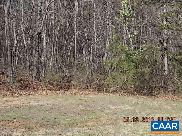 1275 Simmons Gap Road Dyke, VA 22935 - Photo 4 of 23 Gallery Image 4
