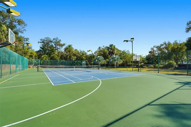 a view of a park with large trees