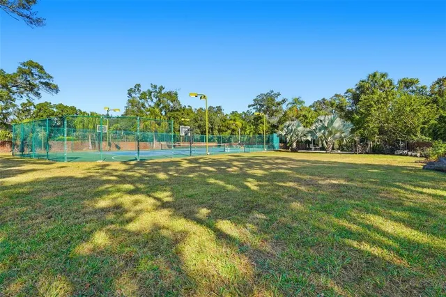 a view of a trees in a yard