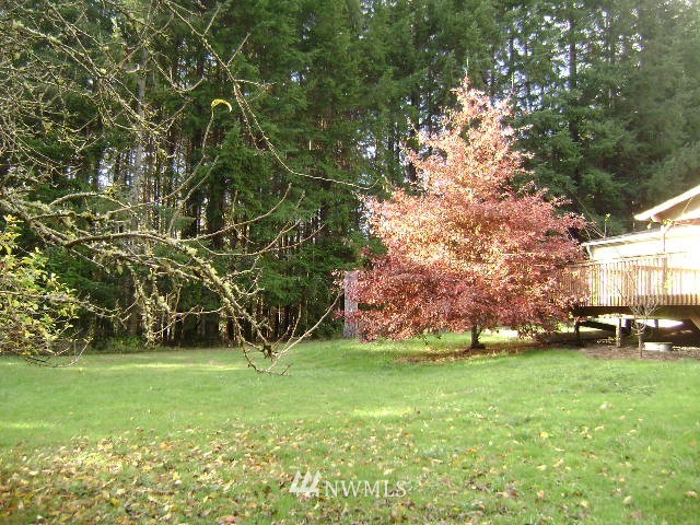 124 Reese Lane Chehalis, WA 98532 - Photo 4 of 19 Gallery Image 4