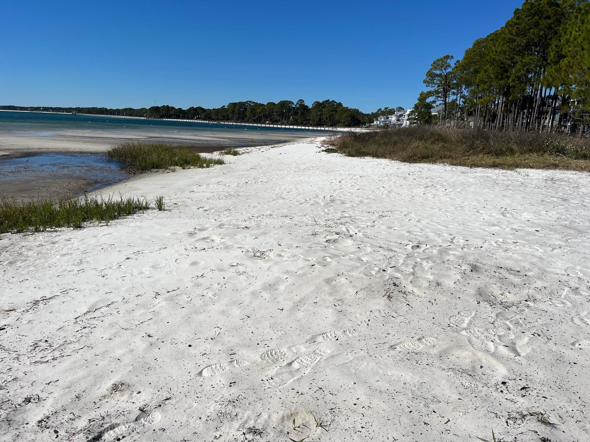 4522 St Teresa Landing Road Sopchoppy, FL 32358 - Photo 32 of 53