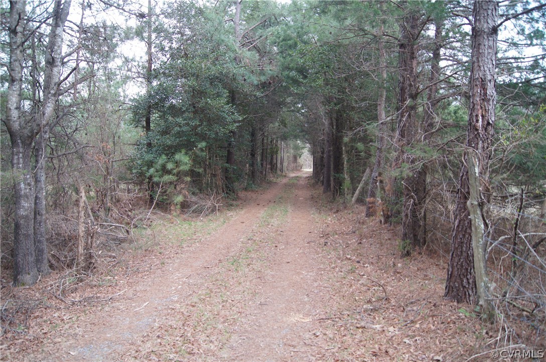 0 Blunts Bridge Road Doswell, VA 23047 - Photo 1 of 10 Gallery Image 1