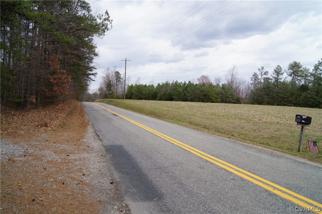 0 Blunts Bridge Road Doswell, VA 23047 - Photo 3 of 10 Gallery Image 3