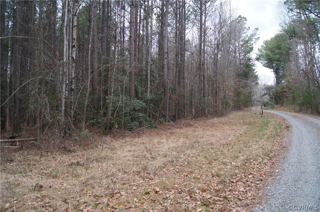 0 Blunts Bridge Road Doswell, VA 23047 - Photo 4 of 10 Gallery Image 4