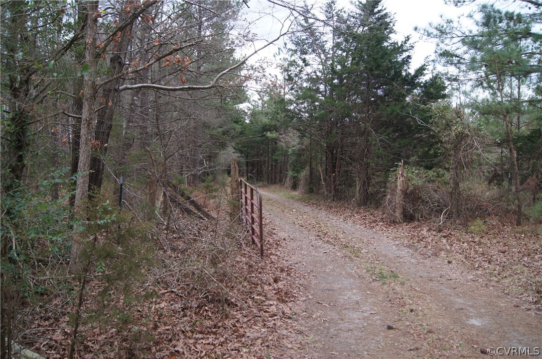 0 Blunts Bridge Road Doswell, VA 23047 - Photo 5 of 10 Gallery Image 5