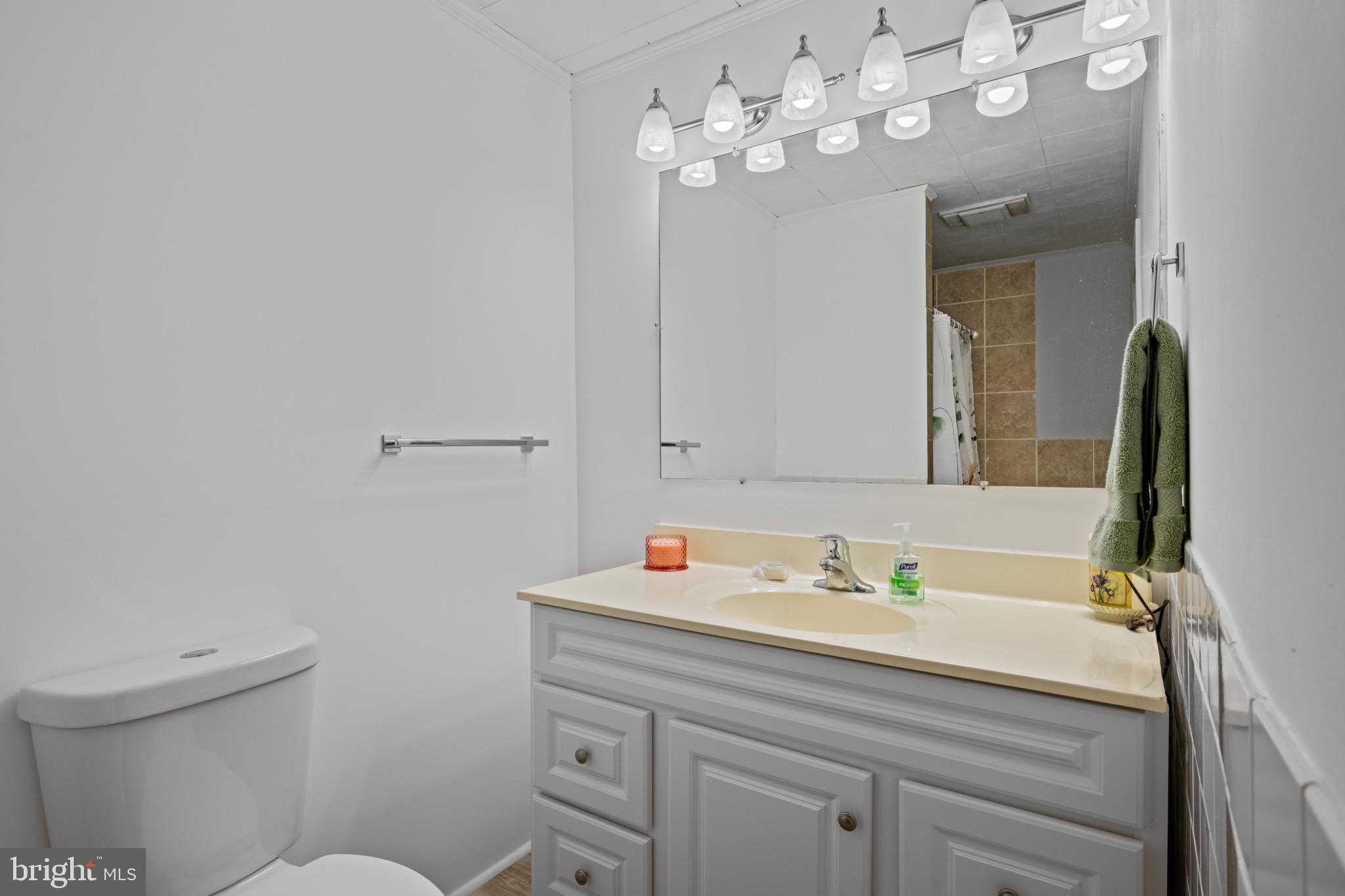 301 3rd Street Baltimore, MD 21206 - Photo 15 of 25 a bathroom with a sink a toilet and mirror