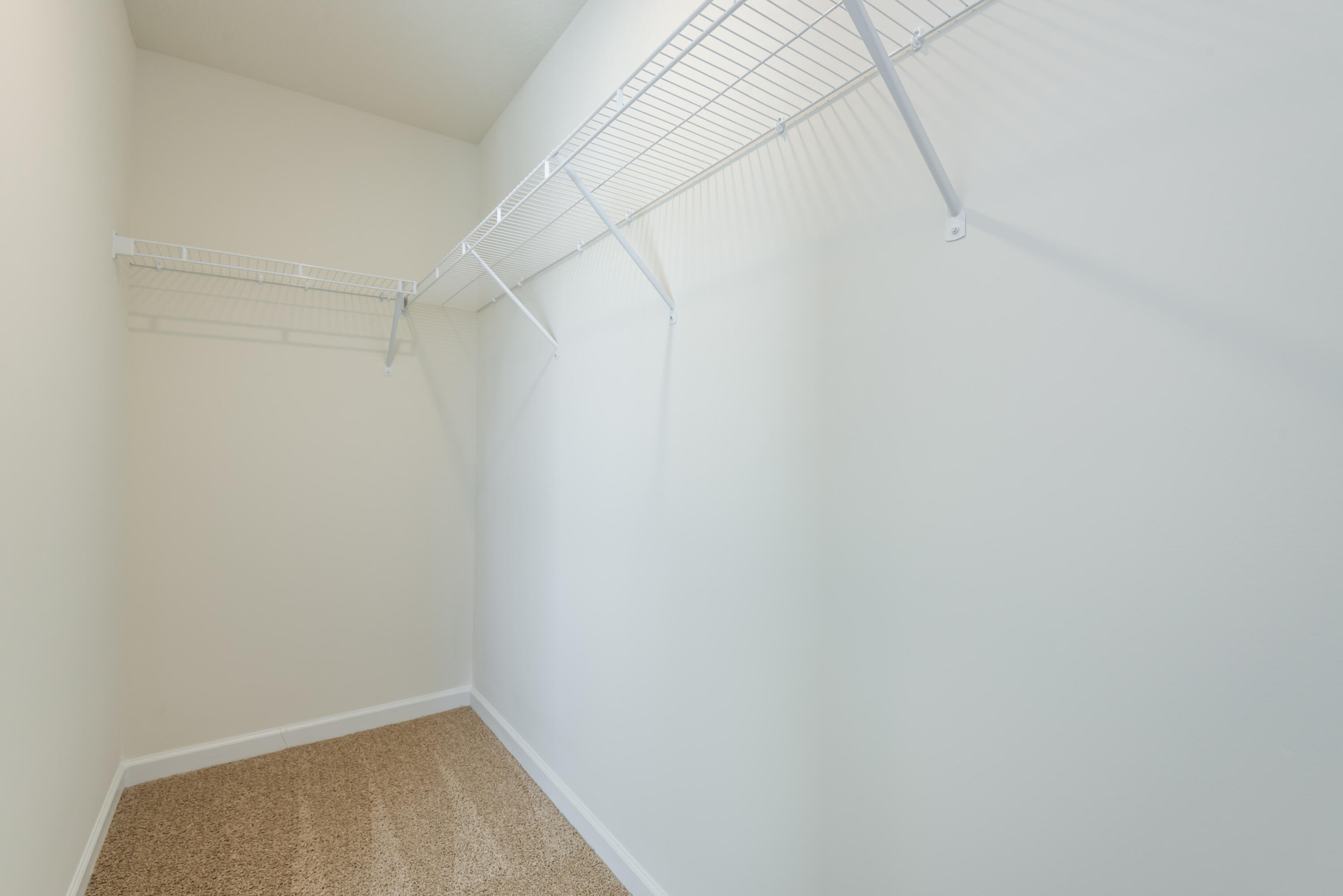 126 Ibis Loop Oak Ridge, TN 37830 - Photo 19 of 33 Bedroom 2 closet