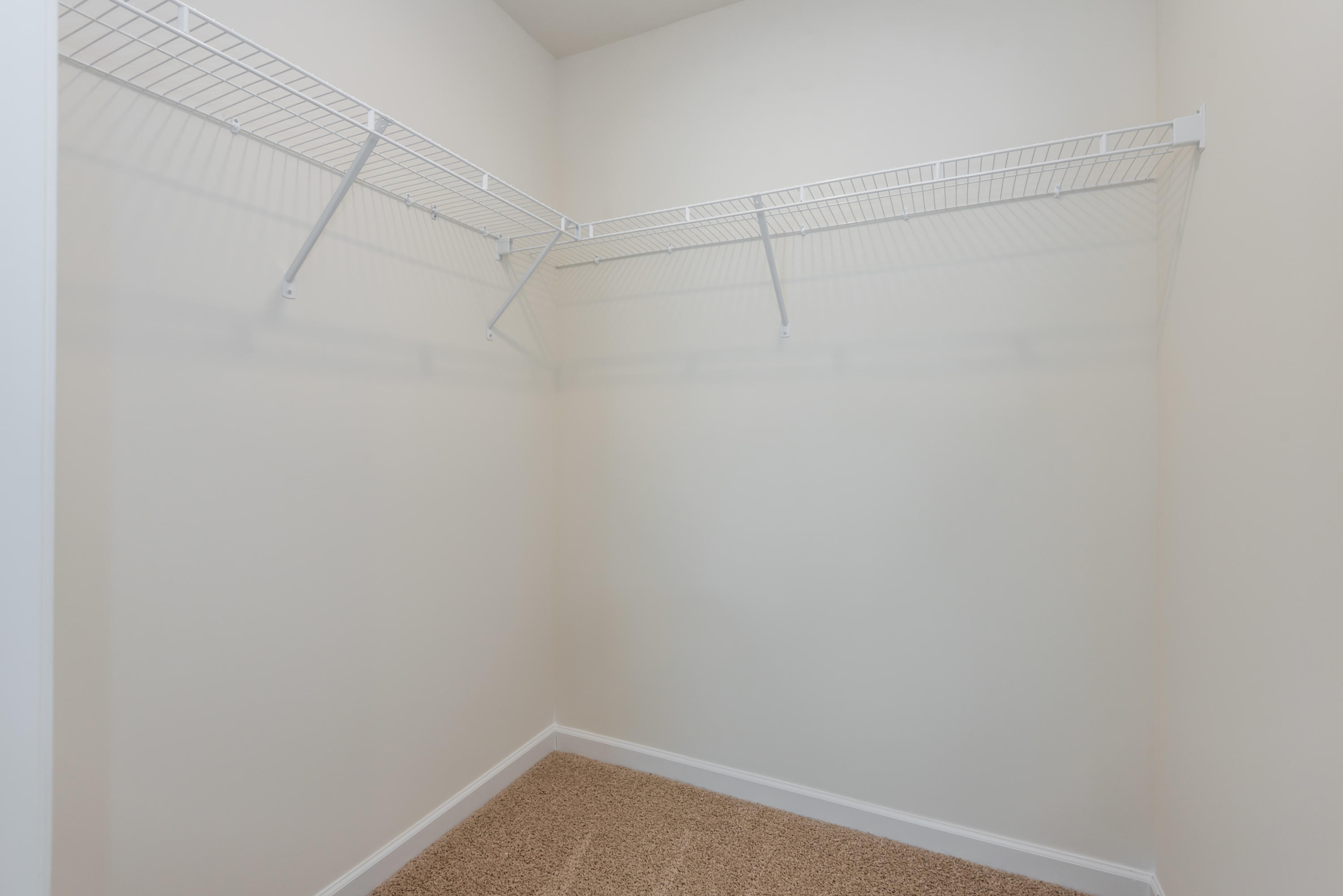 126 Ibis Loop Oak Ridge, TN 37830 - Photo 22 of 33 Bedroom 3 closet