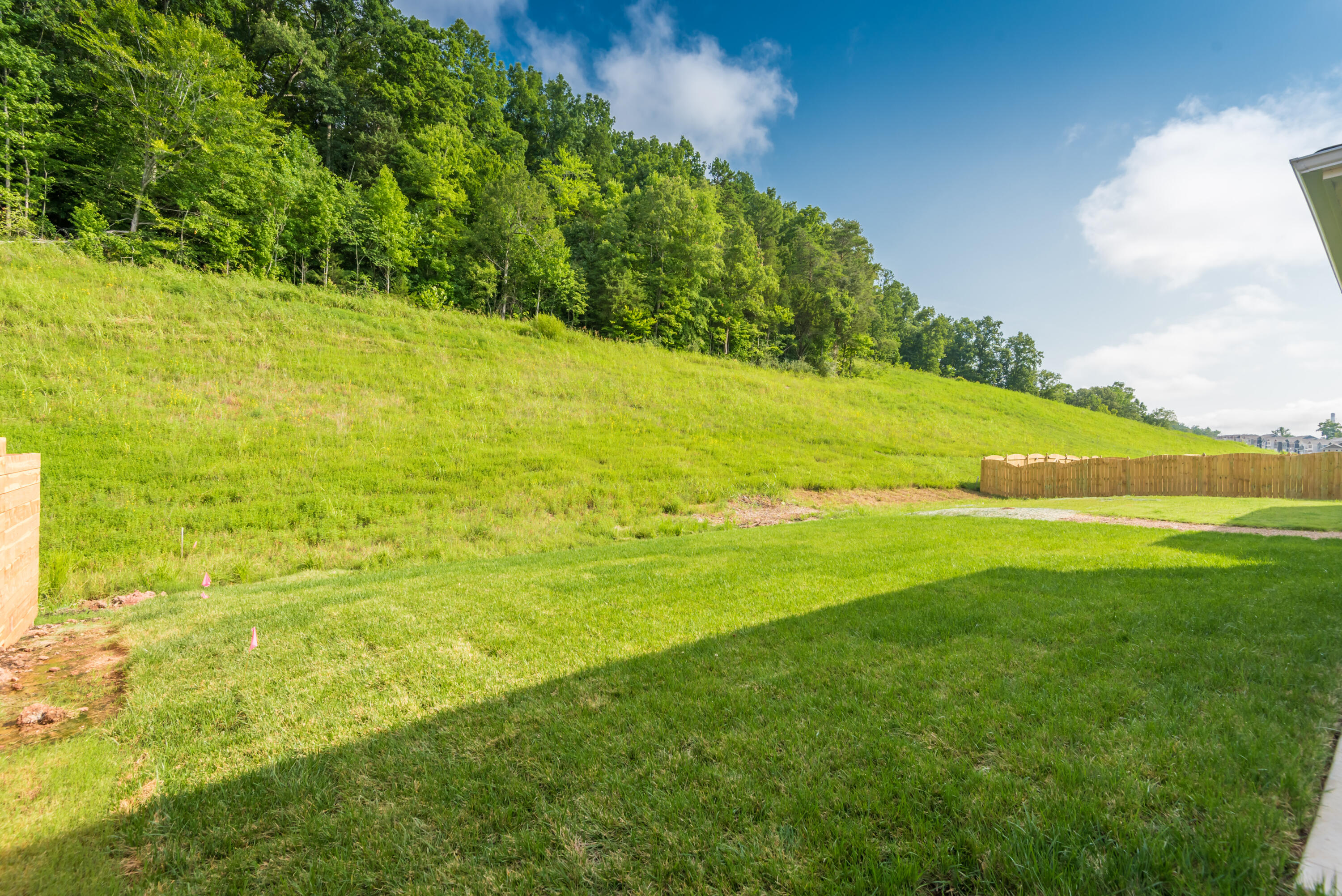 126 Ibis Loop Oak Ridge, TN 37830 - Photo 30 of 33 Back yard