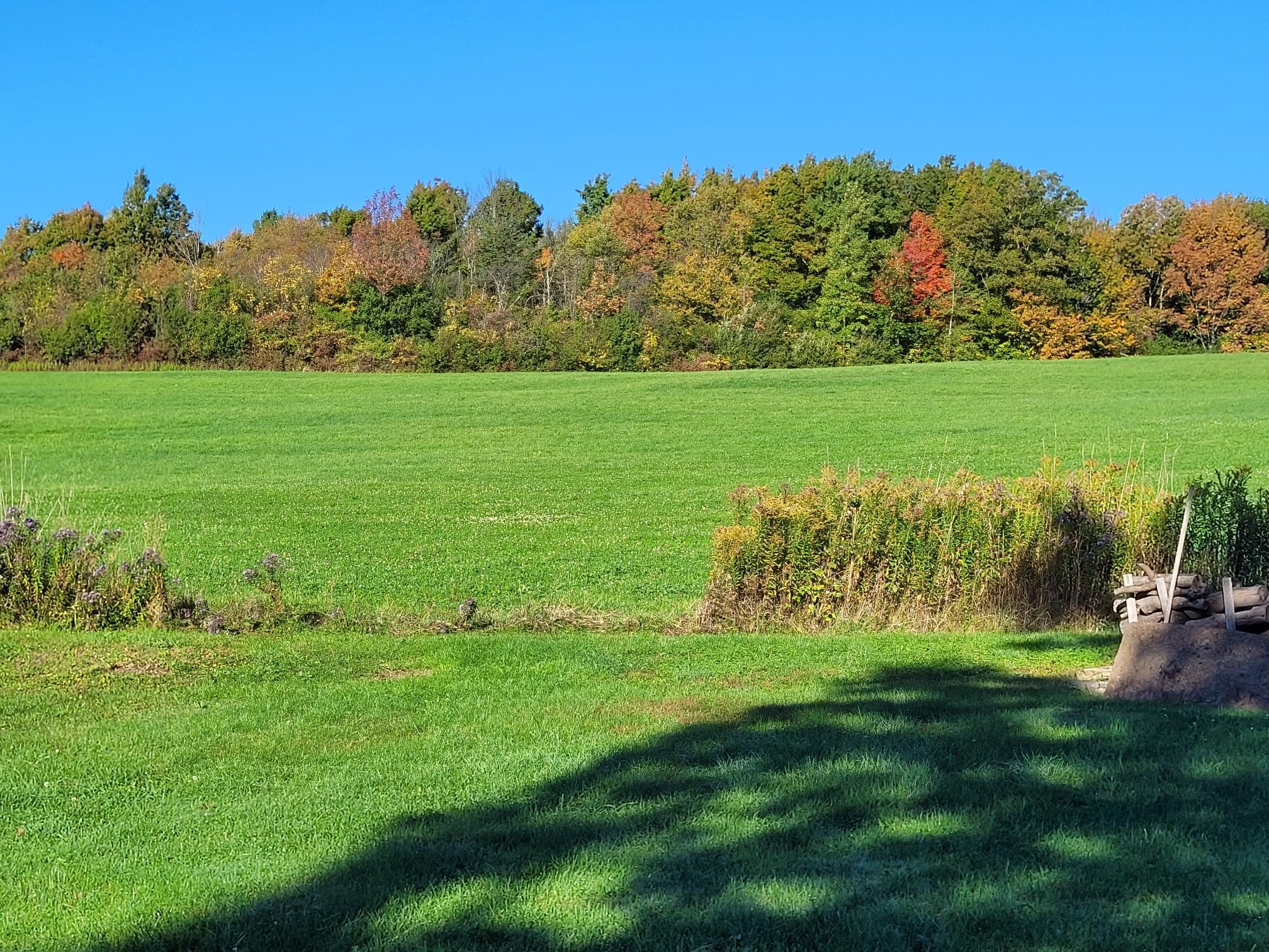 764 Lake Road Milton, VT 05468 - Photo 37 of 38