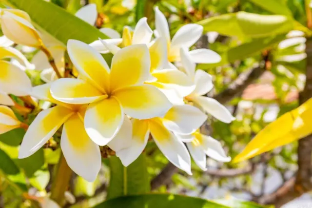 $1,594,999 | 9432 Hito Court, Unit 1, San Diego, CA 92129