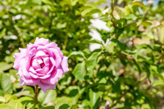 $1,594,999 | 9432 Hito Court, Unit 1, San Diego, CA 92129