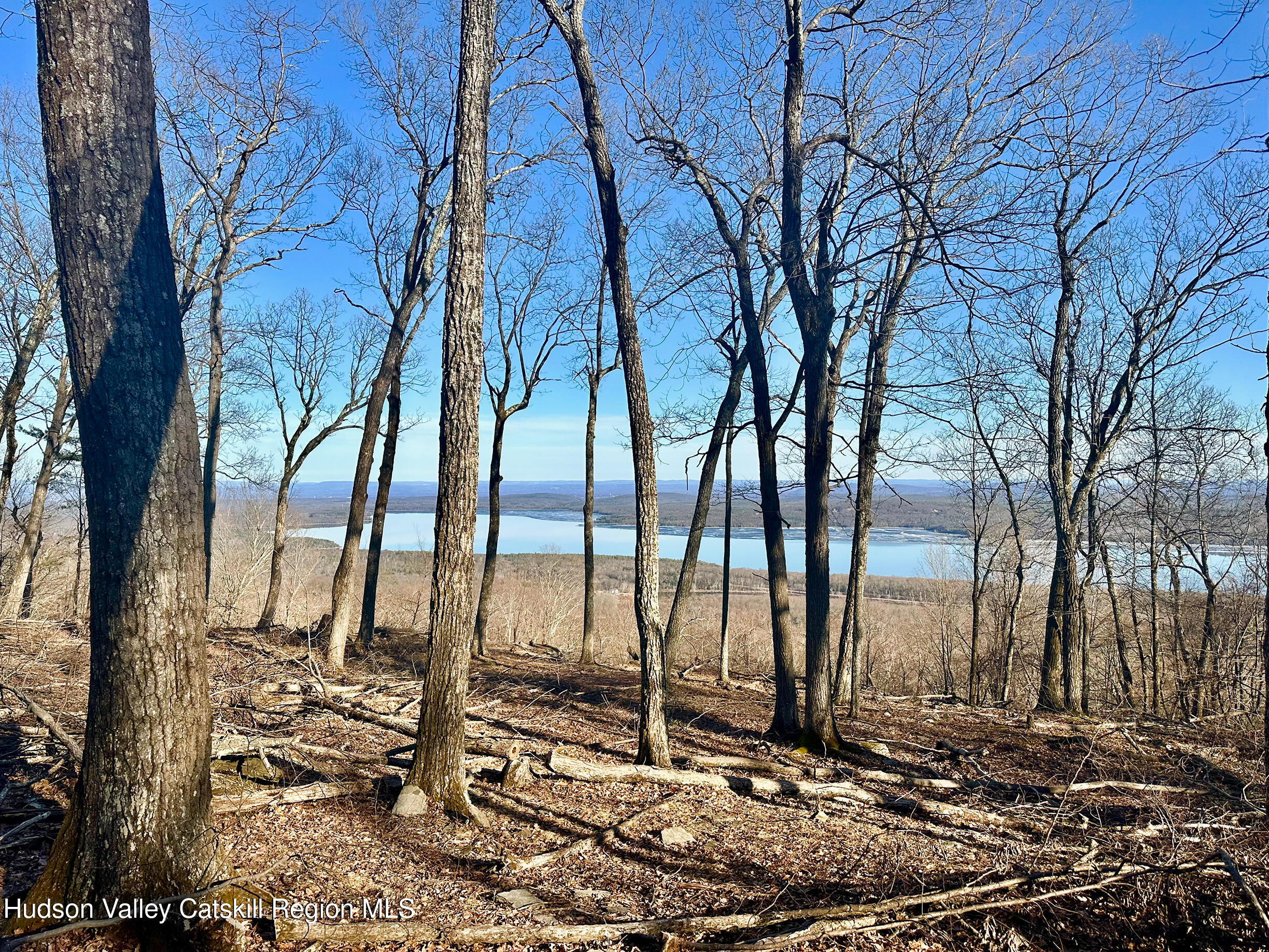 -lot Lot Pitcairn Estates Road Shokan, NY 12481 - Photo 11 of 25 a view of a backyard with large trees