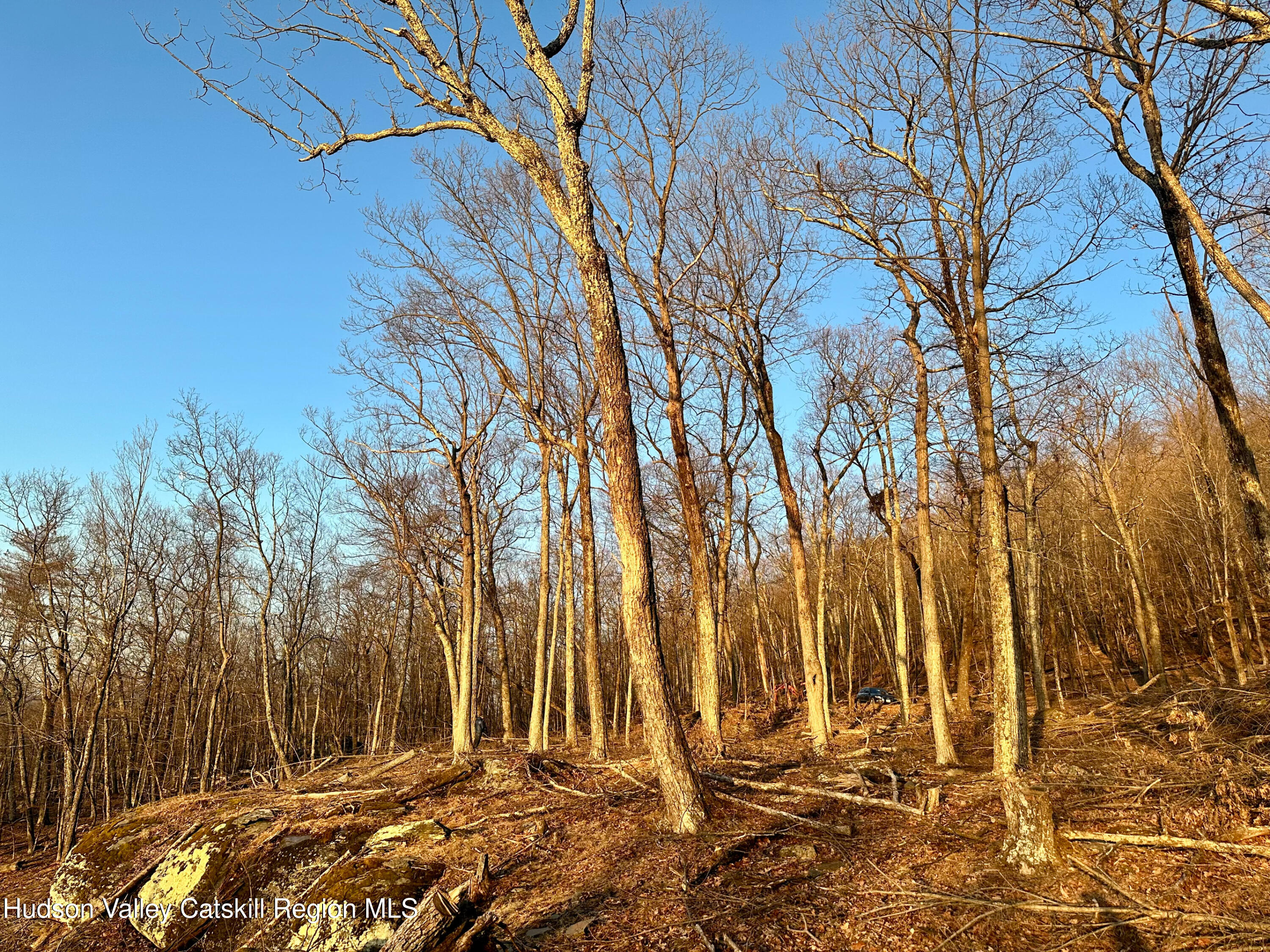 -lot Lot Pitcairn Estates Road Shokan, NY 12481 - Photo 13 of 25 a view of outdoor space
