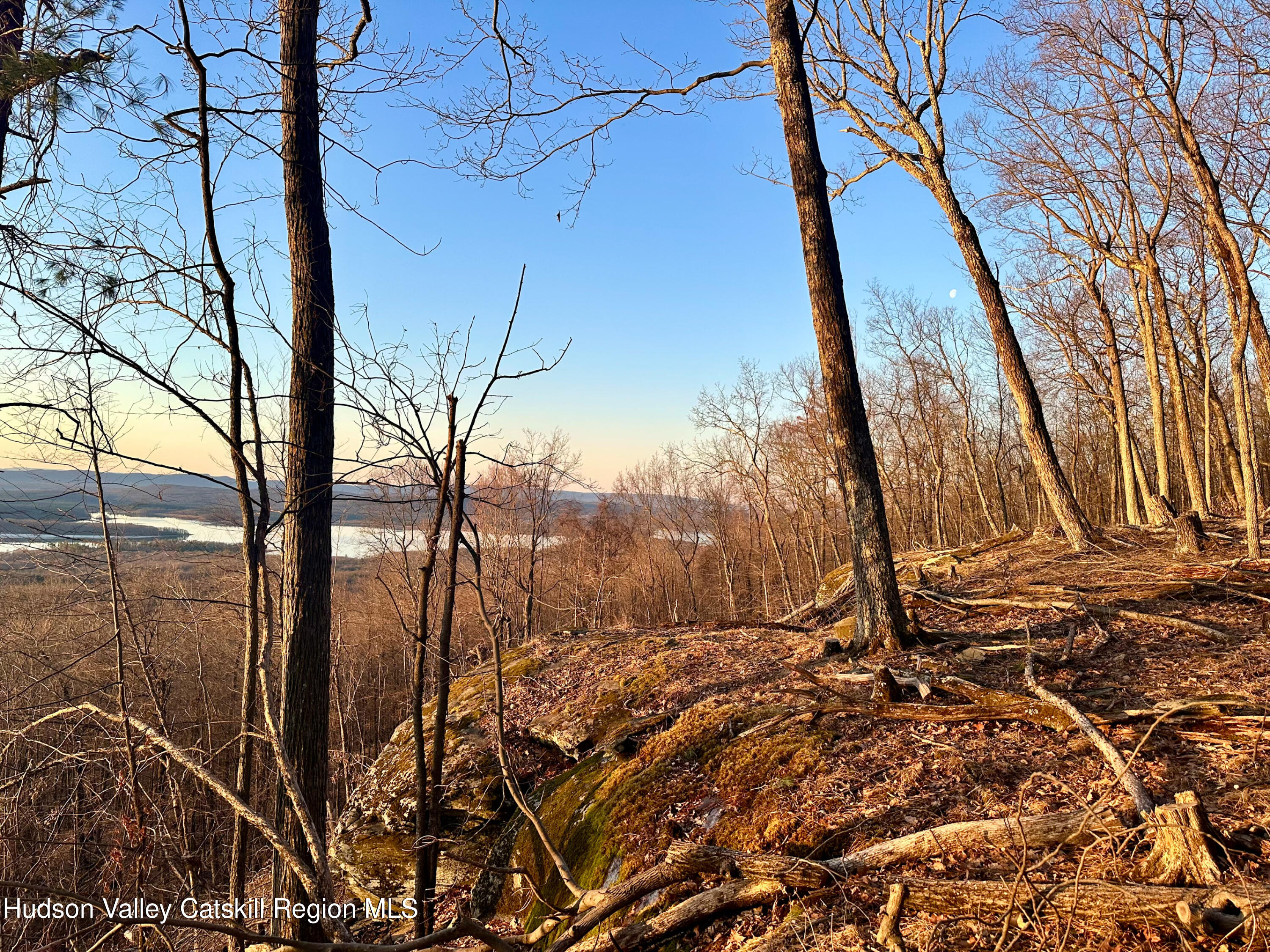 -lot Lot Pitcairn Estates Road Shokan, NY 12481 - Photo 14 of 25