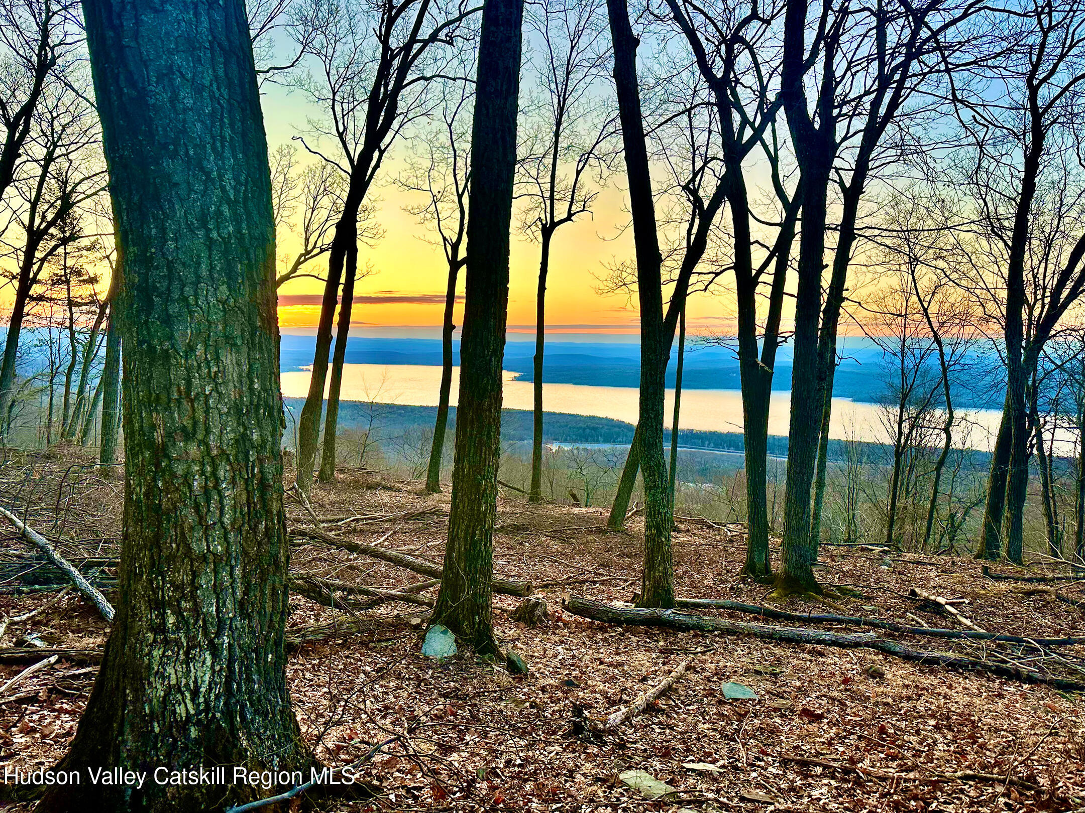 -lot Lot Pitcairn Estates Road Shokan, NY 12481 - Photo 16 of 25 a view of tall trees in the forest