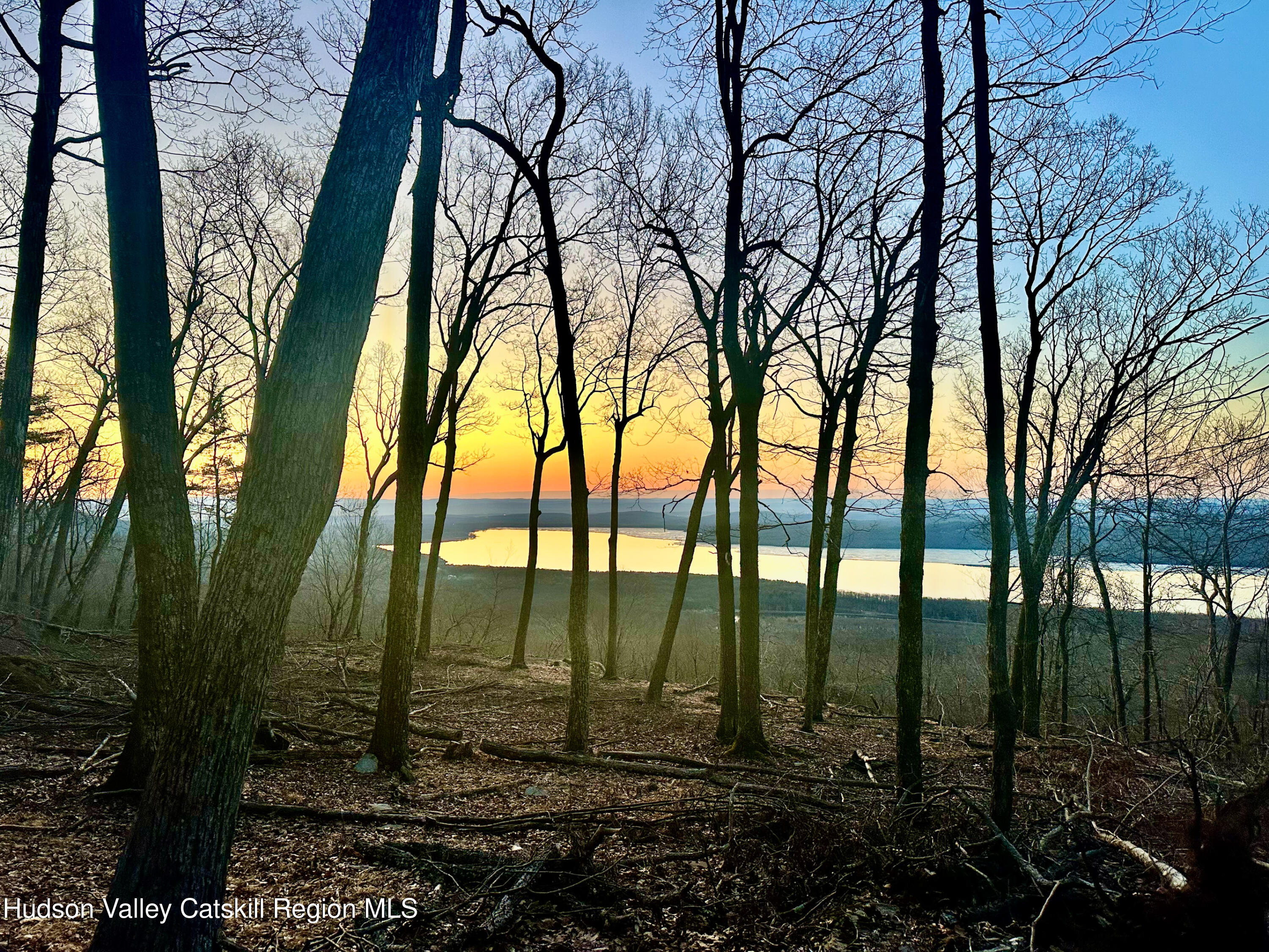 -lot Lot Pitcairn Estates Road Shokan, NY 12481 - Photo 22 of 25 a view of swimming pool and trees in the background