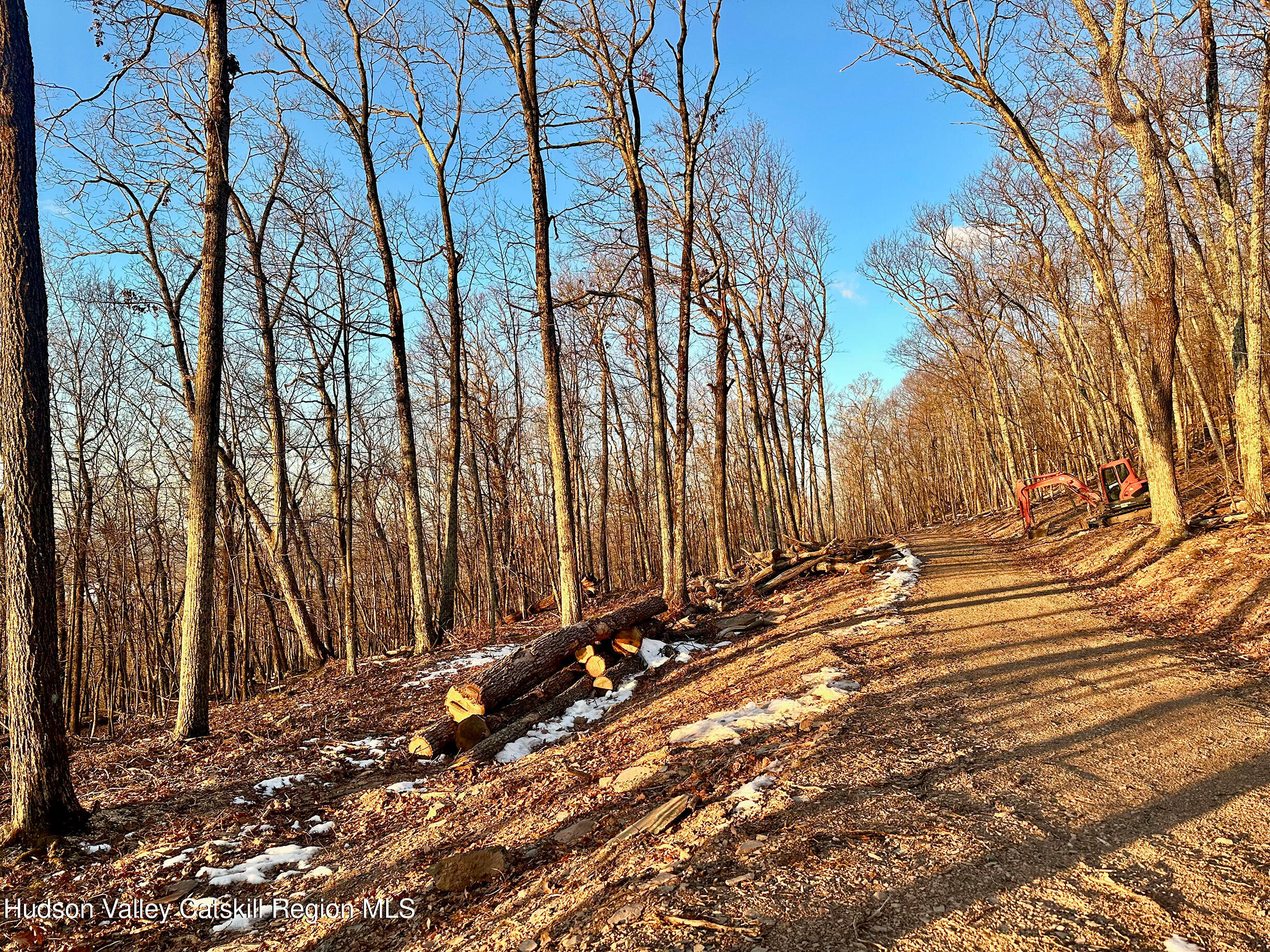 -lot Lot Pitcairn Estates Road Shokan, NY 12481 - Photo 23 of 25 a view of a backyard of the house