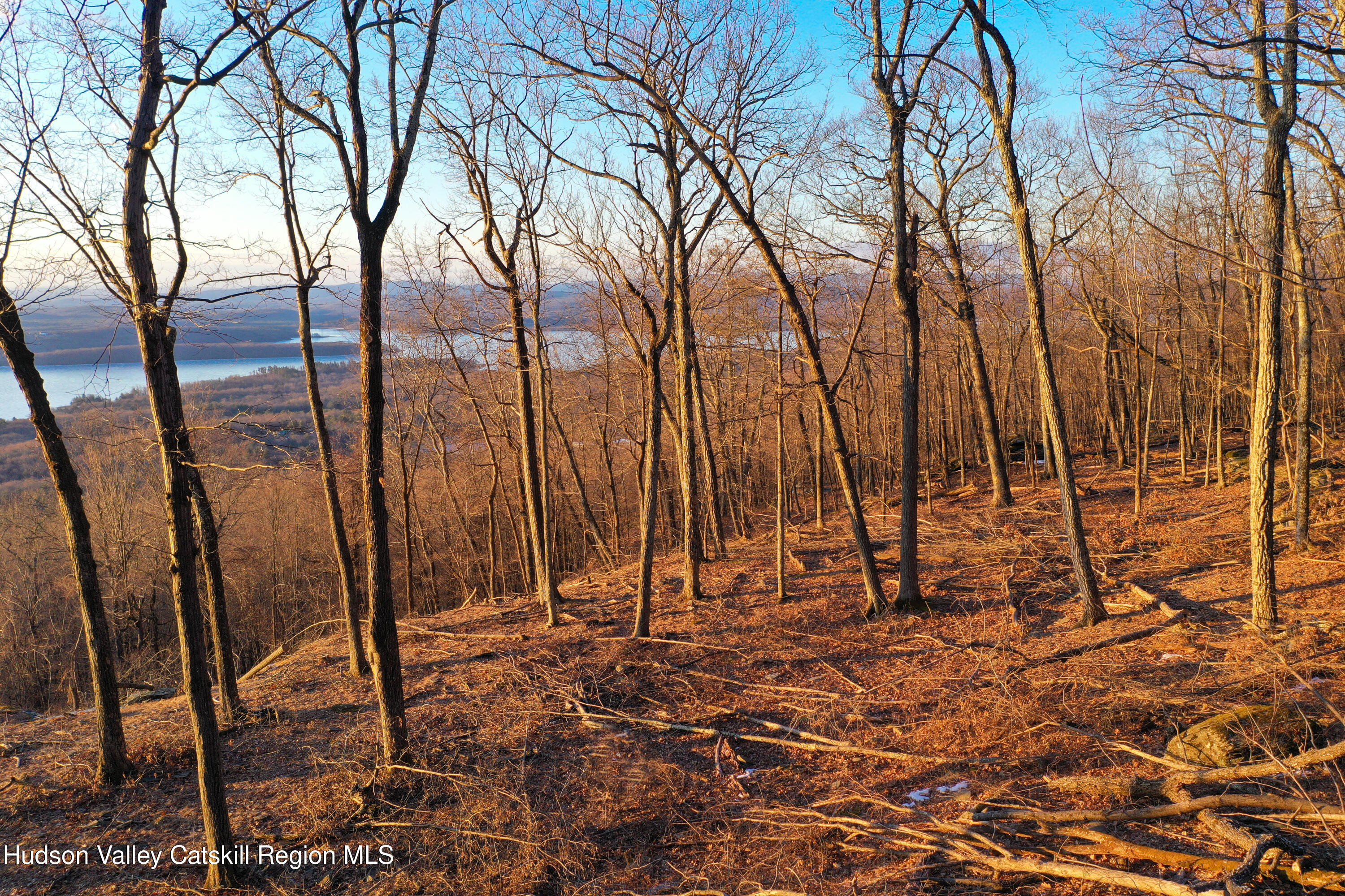 -lot Lot Pitcairn Estates Road Shokan, NY 12481 - Photo 4 of 25 a view of yard