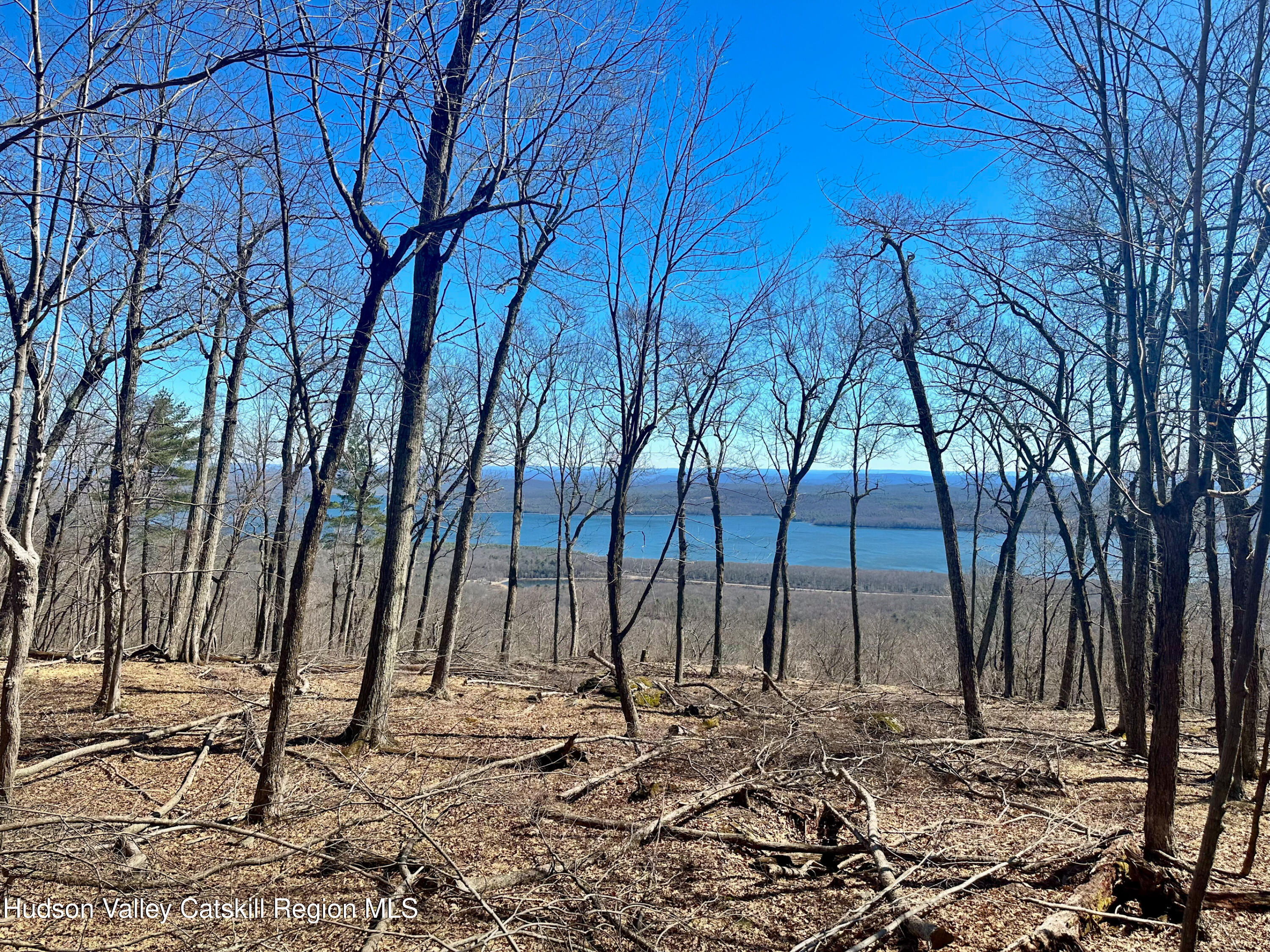 -lot Lot Pitcairn Estates Road Shokan, NY 12481 - Photo 8 of 25 a backyard of a house with lots of trees